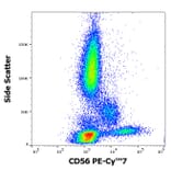 Flow Cytometry - Anti-NCAM1 Antibody [MEM-188] (PE-Cyanine 7) (A122019)