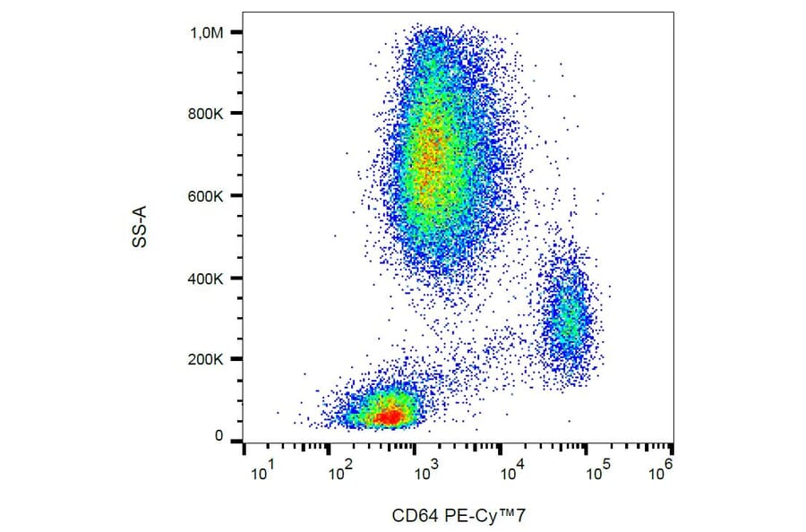Flow Cytometry - Anti-CD64 Antibody [10.1] (PE-Cyanine 7) (A122021) - Antibodies.com
