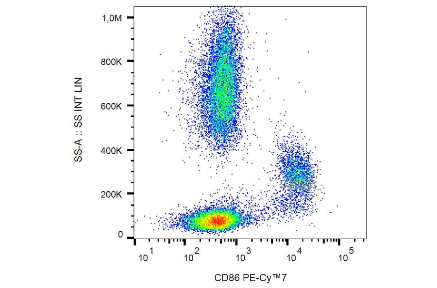 Flow Cytometry - Anti-CD86 Antibody [BU63] (PE-Cyanine 7) (A122028) - Antibodies.com