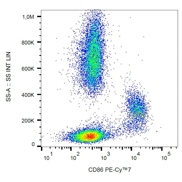Flow Cytometry - Anti-CD86 Antibody [BU63] (PE-Cyanine 7) (A122028) - Antibodies.com