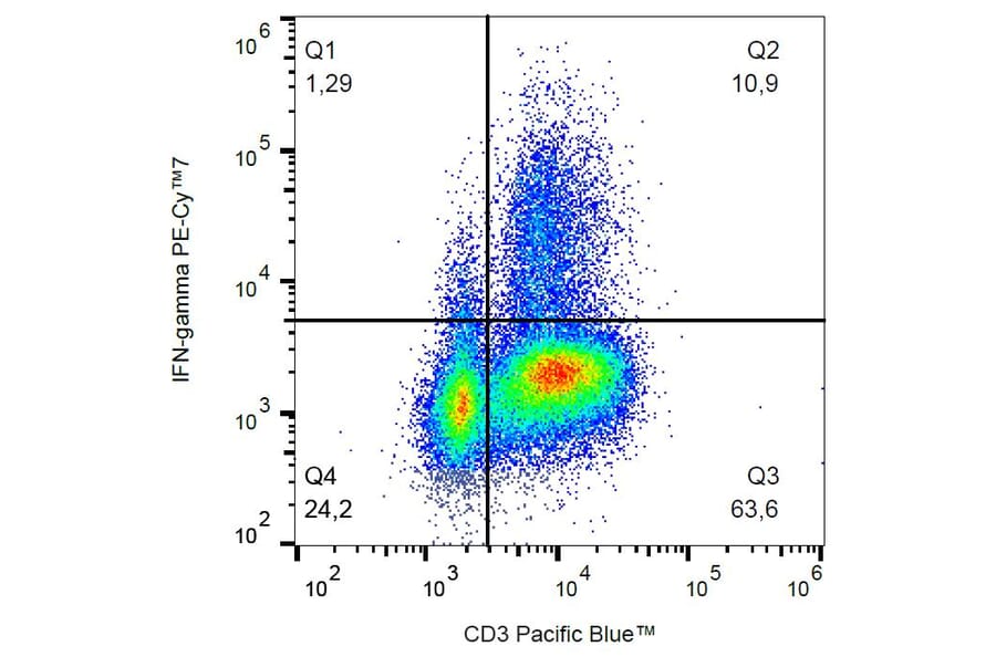 Flow Cytometry - Anti-Interferon gamma Antibody [4S.B3] (PE-Cyanine 7) (A122035) - Antibodies.com