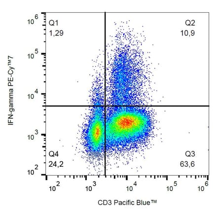 Flow Cytometry - Anti-Interferon gamma Antibody [4S.B3] (PE-Cyanine 7) (A122035) - Antibodies.com