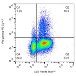 Flow Cytometry - Anti-Interferon gamma Antibody [4S.B3] (PE-Cyanine 7) (A122035) - Antibodies.com