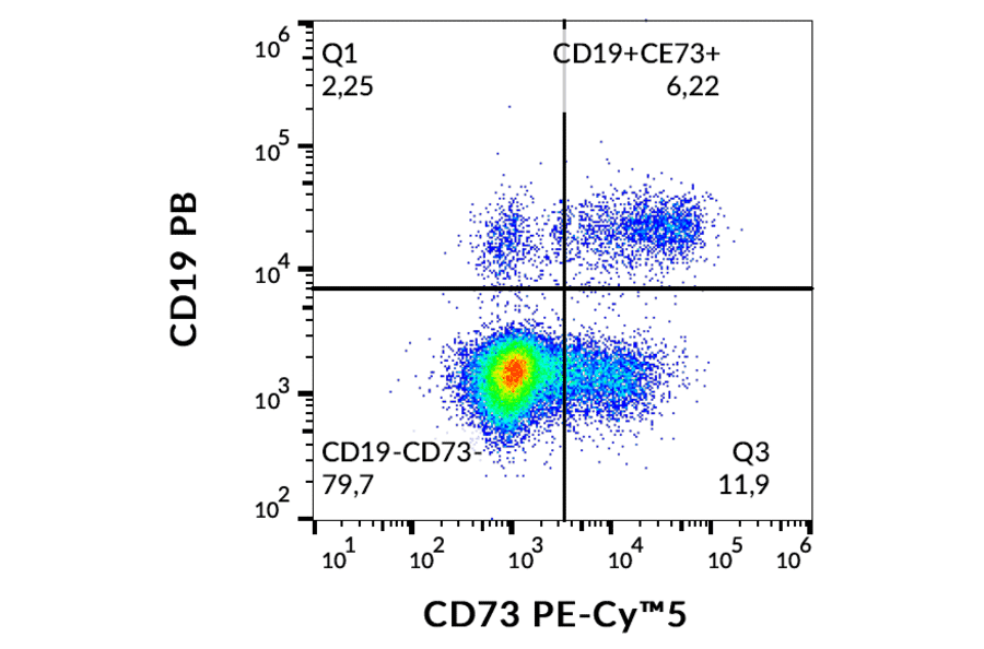 Flow Cytometry - Anti-CD73 Antibody [AD2] (PE-Cyanine 5) (A122069) - Antibodies.com