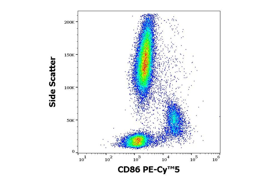 Flow Cytometry - Anti-CD86 Antibody [BU63] (PE-Cyanine 5) (A122074)