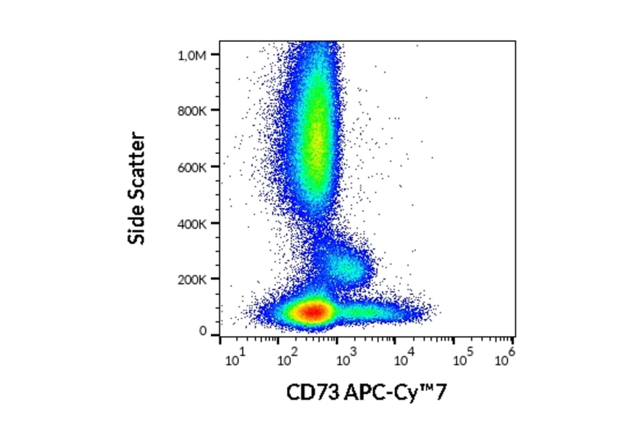 Flow Cytometry - Anti-CD73 Antibody [AD2] (APC-Cyanine 7) (A122106) - Antibodies.com