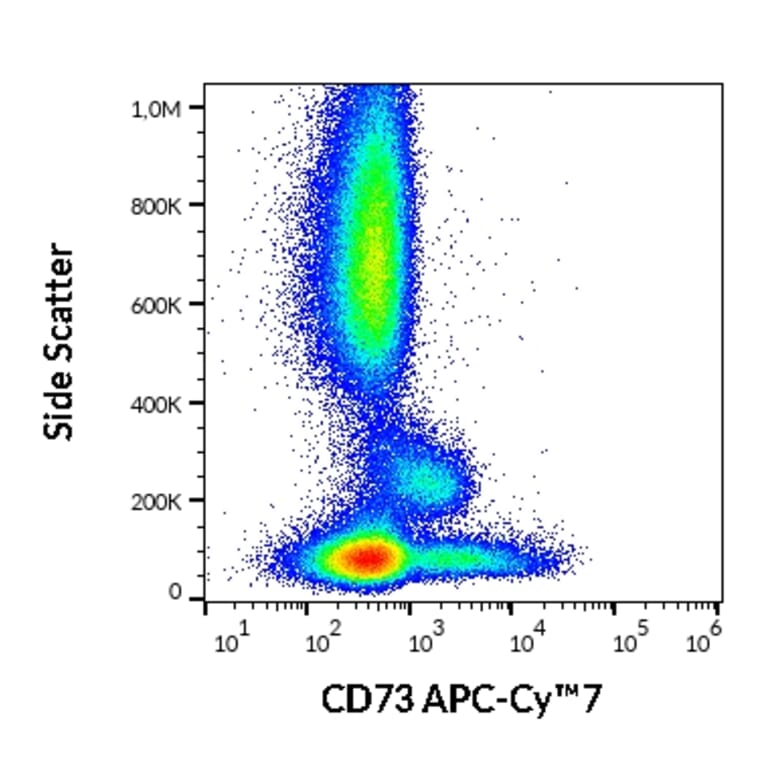 Flow Cytometry - Anti-CD73 Antibody [AD2] (APC-Cyanine 7) (A122106) - Antibodies.com