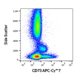 Flow Cytometry - Anti-CD73 Antibody [AD2] (APC-Cyanine 7) (A122106) - Antibodies.com