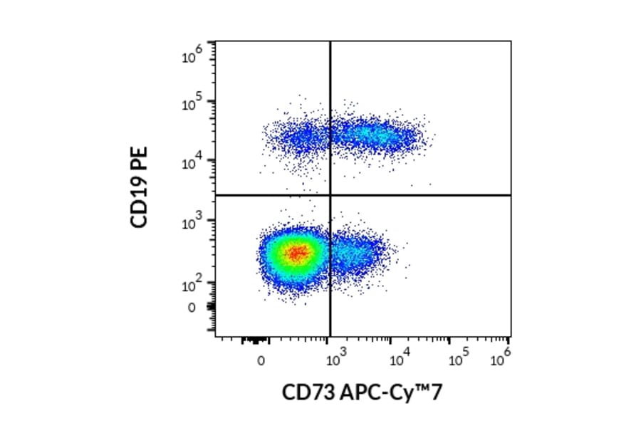Flow Cytometry - Anti-CD73 Antibody [AD2] (APC-Cyanine 7) (A122105) - Antibodies.com
