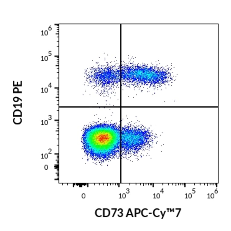 Flow Cytometry - Anti-CD73 Antibody [AD2] (APC-Cyanine 7) (A122105) - Antibodies.com