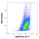 Flow Cytometry - Anti-CD90 Antibody [5E10] (APC-Cyanine 7) (A122109) - Antibodies.com