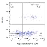 Flow Cytometry - Anti-Human Kappa Light Chain Antibody [TB28-2] (APC-Cyanine 7) (A122112)