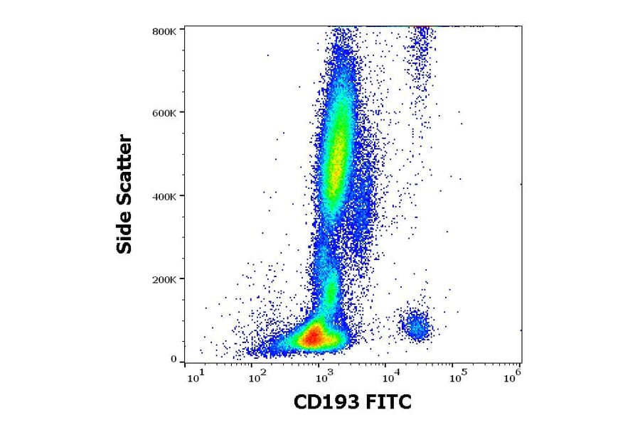 Flow Cytometry - Anti-CD193 Antibody [5E8] (FITC) (A122116) - Antibodies.com