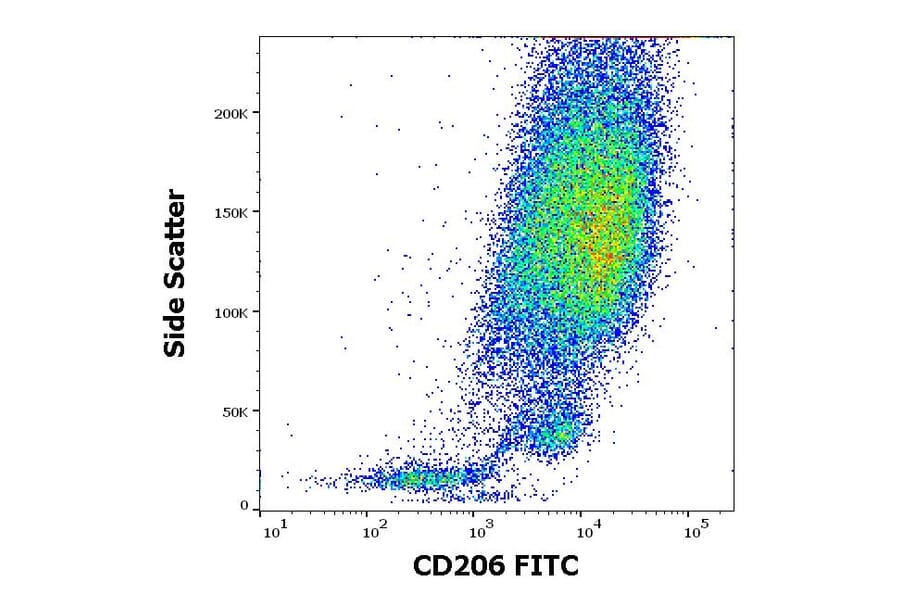 Flow Cytometry - Anti-CD206 Antibody [15-2] (FITC) (A122118) - Antibodies.com