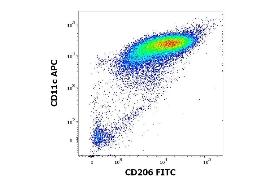 Flow Cytometry - Anti-CD206 Antibody [15-2] (FITC) (A122117) - Antibodies.com