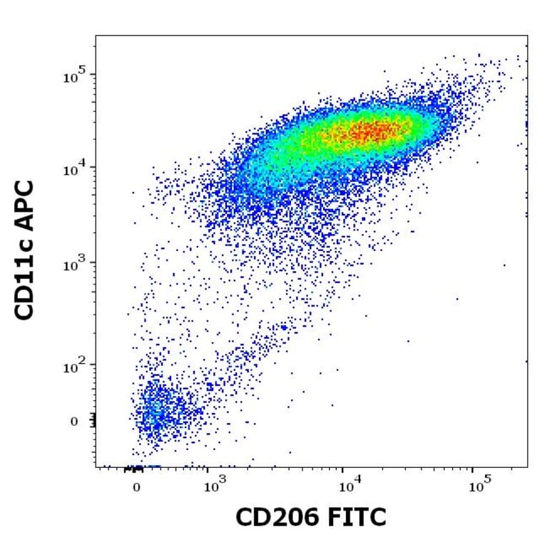 Flow Cytometry - Anti-CD206 Antibody [15-2] (FITC) (A122117) - Antibodies.com