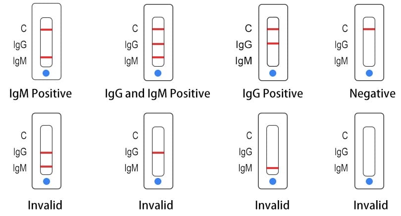 Immuno Gold Rabbit-anti-Chicken, IgG