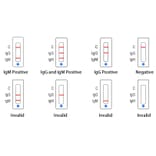 Interpretation of Results - COVID-19 IgG + IgM Rapid Test Kit (Colloidal Gold) (UNCOV-40) - Antibodies.com