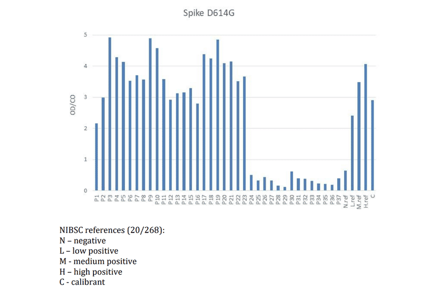 Functional Studies - Recombinant SARS-CoV-2 Spike Protein (D614G Variant) (Functional) (A122172) - Antibodies.com
