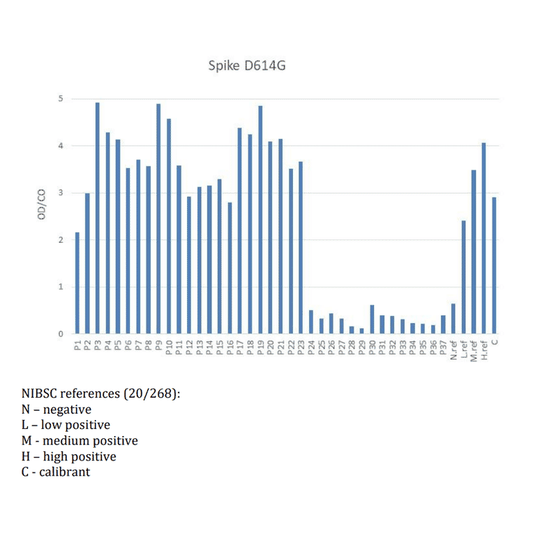 Functional Studies - Recombinant SARS-CoV-2 Spike Protein (D614G Variant) (Functional) (A122172) - Antibodies.com