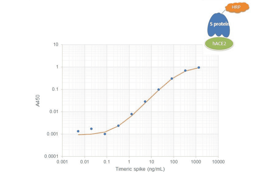 Functional Studies - Recombinant SARS-CoV-2 Spike Protein (D614G Variant) (Functional) (A122172) - Antibodies.com