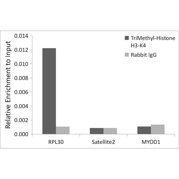 Chromatin Immunoprecipitation - Anti-Histone H3 (tri methyl Lys4) Antibody (A16705) - Antibodies.com