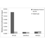 Chromatin Immunoprecipitation - Anti-Histone H3 (tri methyl Lys4) Antibody (A16705) - Antibodies.com