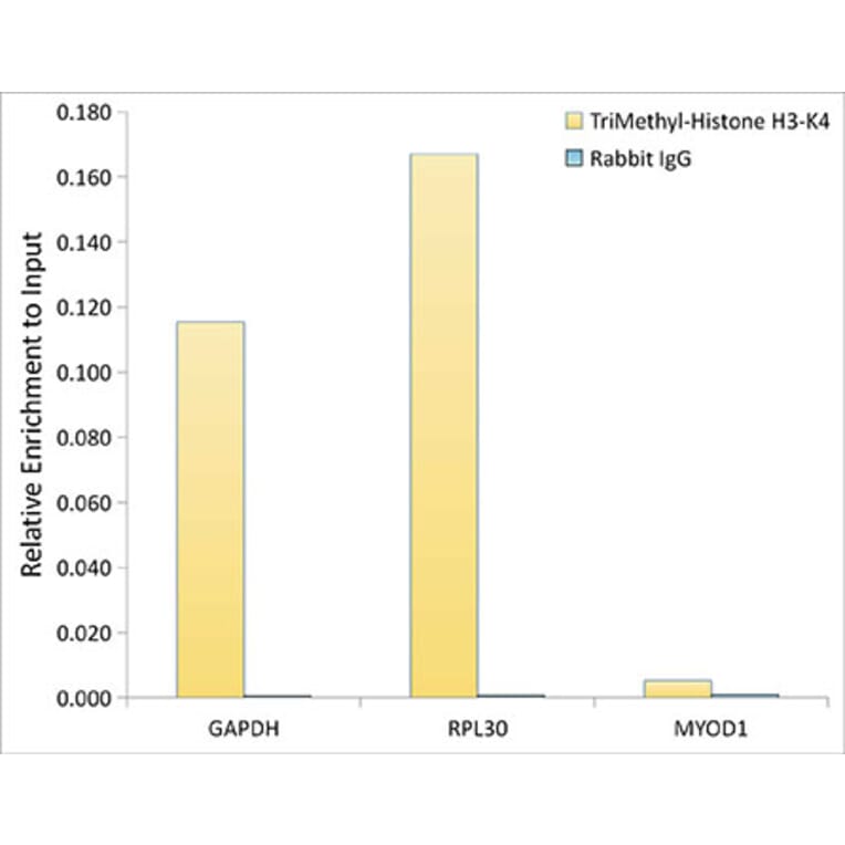 Chromatin Immunoprecipitation - Anti-Histone H3 (tri methyl Lys4) Antibody (A16705) - Antibodies.com