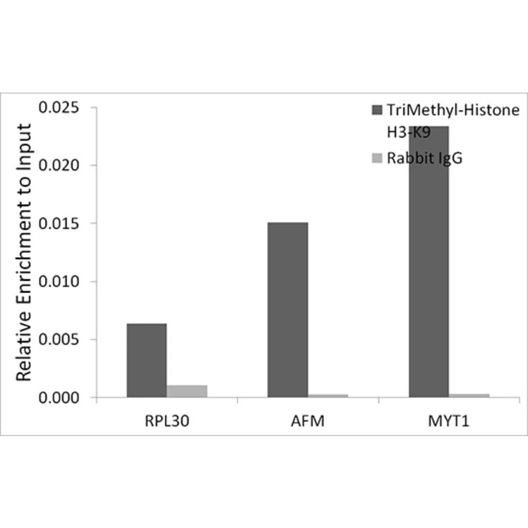 Chromatin Immunoprecipitation - Anti-Histone H3 (tri methyl Lys9) Antibody (A16708) - Antibodies.com