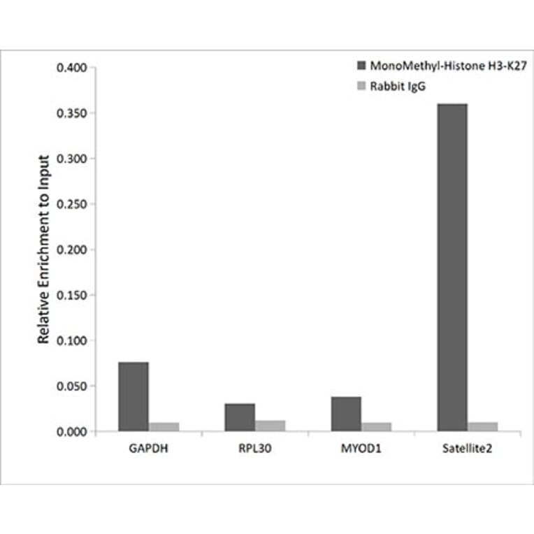 Chromatin Immunoprecipitation - Anti-Histone H3 (mono methyl Lys27) Antibody (A16709) - Antibodies.com