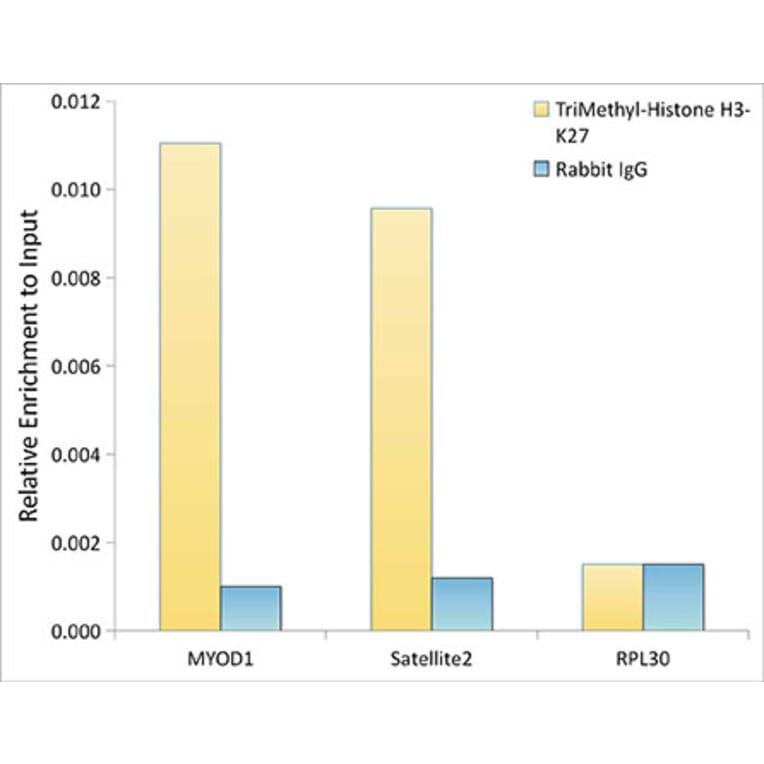 Chromatin Immunoprecipitation - Anti-Histone H3 (tri methyl Lys27) Antibody (A16711) - Antibodies.com