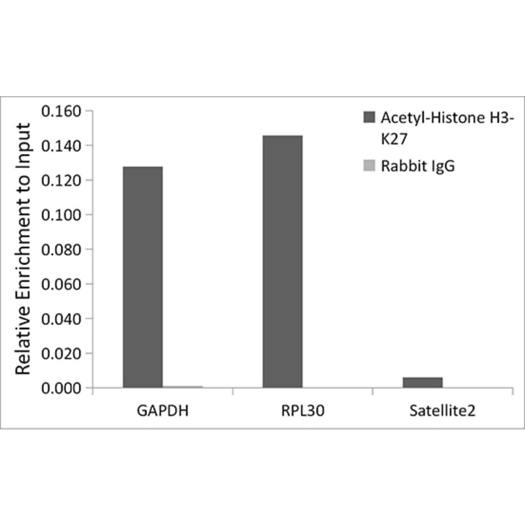 Chromatin Immunoprecipitation - Anti-Histone H3 (acetyl Lys27) Antibody (A16739) - Antibodies.com