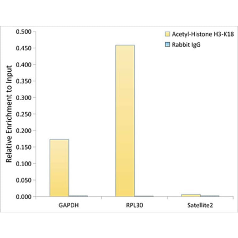 Chromatin Immunoprecipitation - Anti-Histone H3 (acetyl Lys18) Antibody (A16743) - Antibodies.com