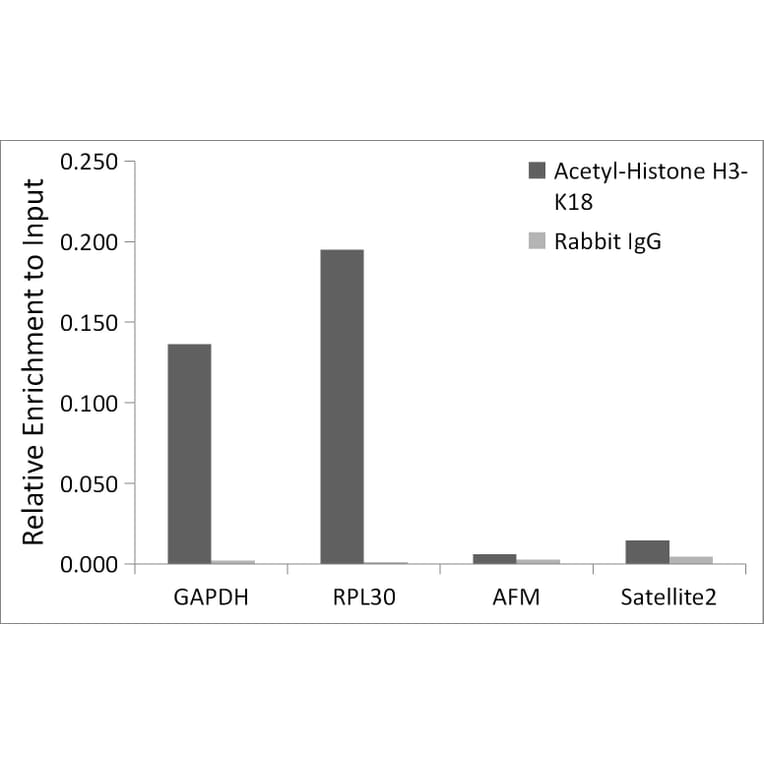 Chromatin Immunoprecipitation - Anti-Histone H3 (acetyl Lys18) Antibody (A16743) - Antibodies.com