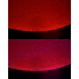 Immunofluorescence - Anti-alpha A Crystallin/CRYAA Antibody (A16759) - Antibodies.com