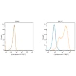 Flow Cytometry - Goat Anti-Mouse IgG H&L Antibody (TRITC) (A17332) - Antibodies.com