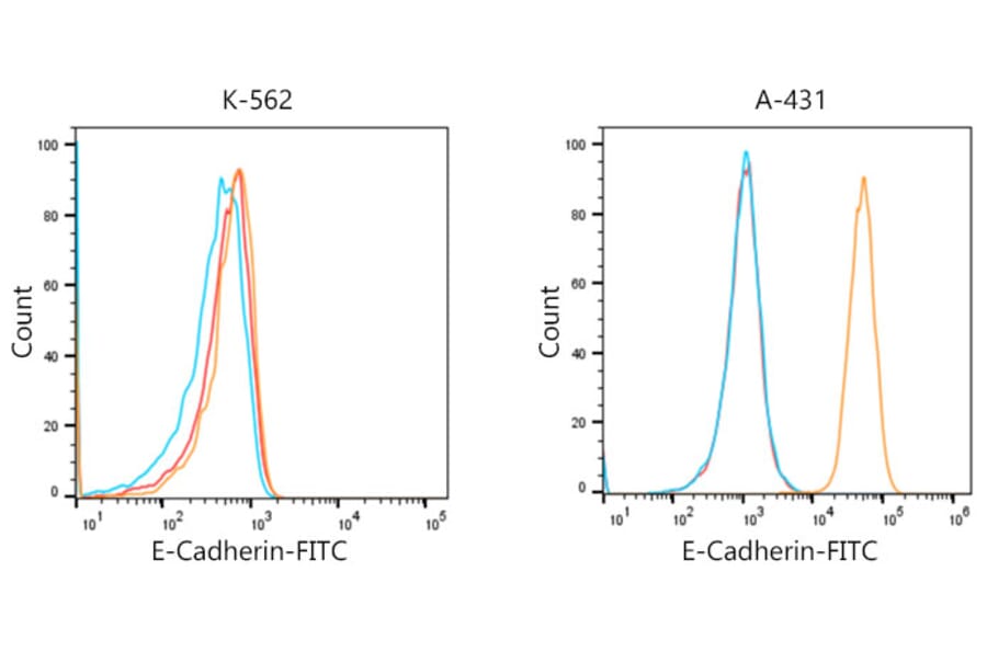 Flow Cytometry - Donkey Anti-Rabbit IgG H&L Antibody (FITC) (A17343) - Antibodies.com