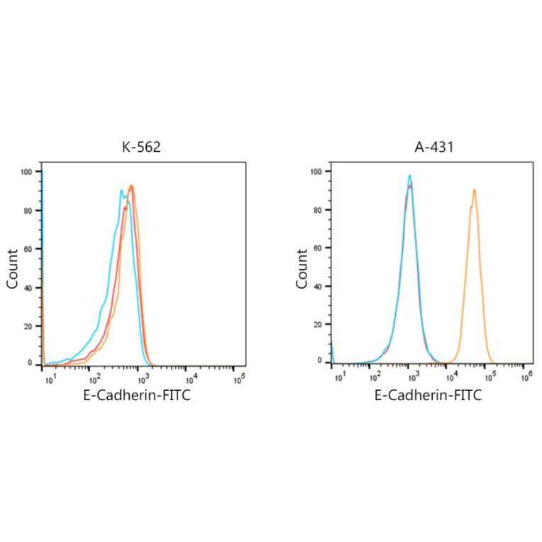 Flow Cytometry - Donkey Anti-Rabbit IgG H&L Antibody (FITC) (A17343) - Antibodies.com
