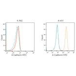 Flow Cytometry - Donkey Anti-Rabbit IgG H&L Antibody (FITC) (A17343) - Antibodies.com