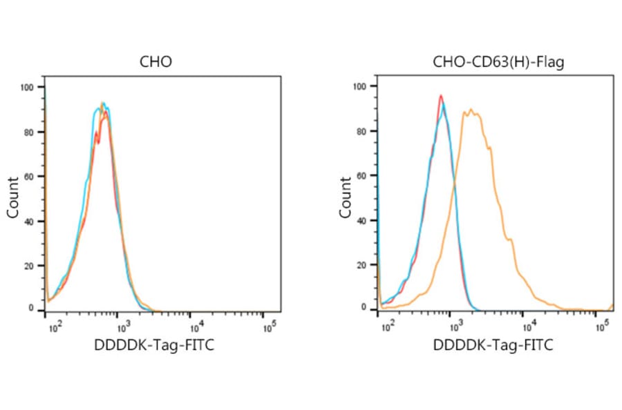 Flow Cytometry - Goat Anti-Mouse IgG H&L Antibody (FITC) (A17350) - Antibodies.com