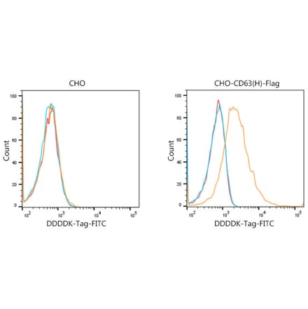 Flow Cytometry - Goat Anti-Mouse IgG H&L Antibody (FITC) (A17350) - Antibodies.com