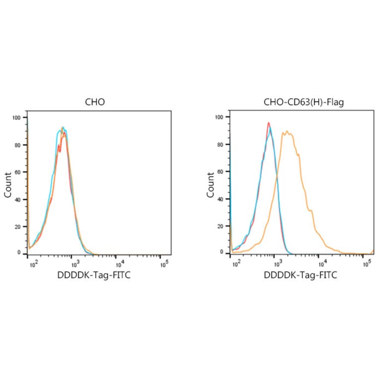 Flow Cytometry - Goat Anti-Mouse IgG H&L Antibody (FITC) (A17350) - Antibodies.com