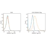 Flow Cytometry - Goat Anti-Mouse IgG H&L Antibody (FITC) (A17350) - Antibodies.com