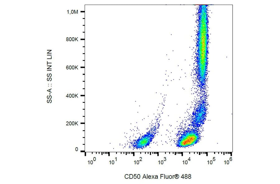 Flow Cytometry - Anti-CD50 Antibody [MEM-171] (Alexa Fluor® 488) (A18808) - Antibodies.com