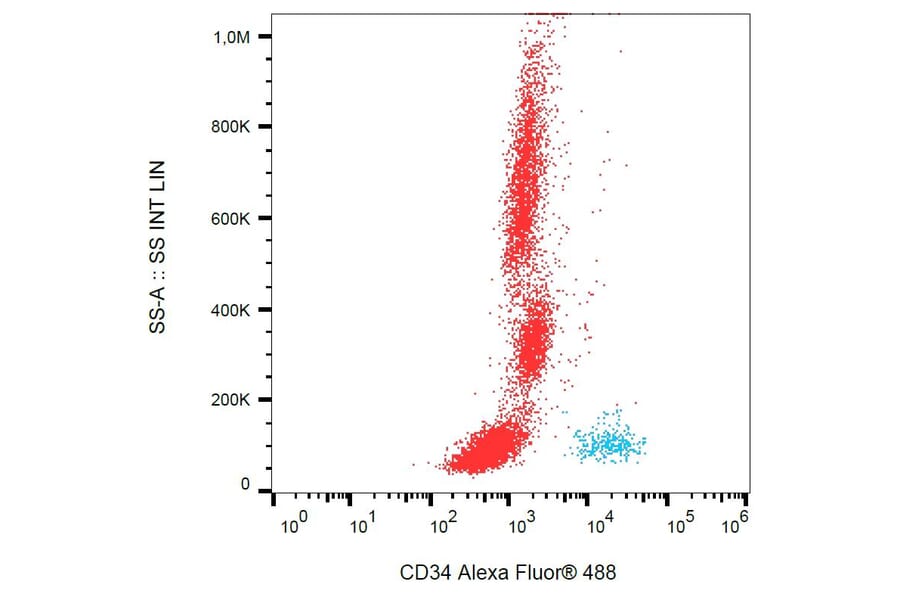 Flow Cytometry - Anti-CD34 Antibody [4H11[APG]] (Alexa Fluor® 488) (A121708) - Antibodies.com