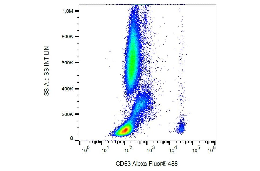 Flow Cytometry - Anti-CD63 Antibody [MEM-259] (Alexa Fluor® 488) (A18758) - Antibodies.com