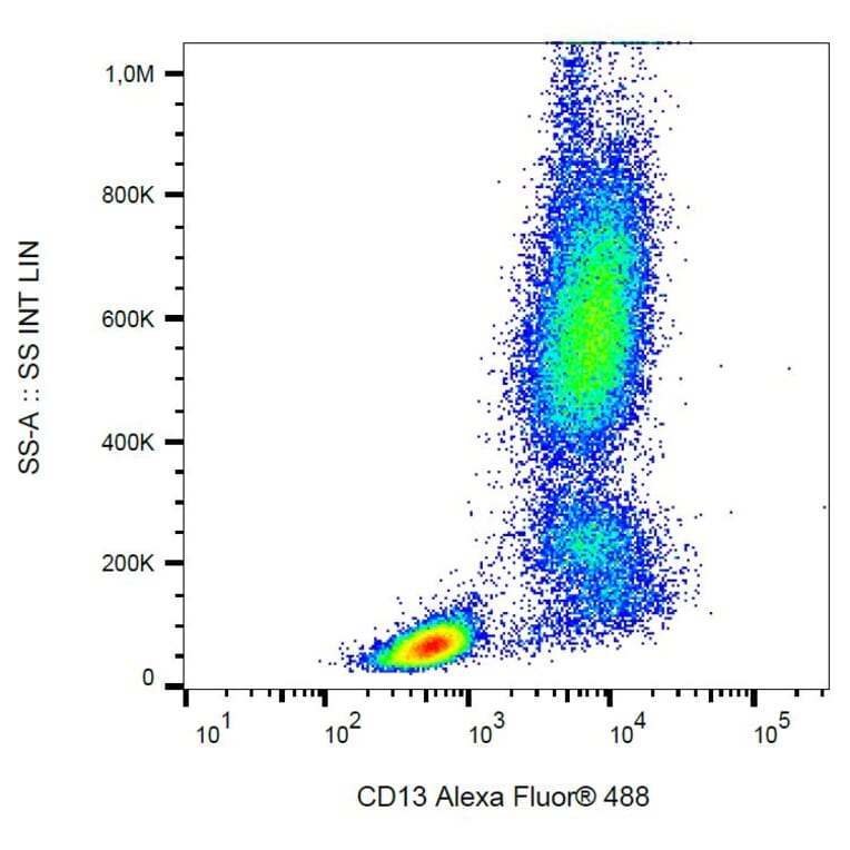 Flow Cytometry - Anti-CD13 Antibody [WM15] (Alexa Fluor® 488) (A18755) - Antibodies.com