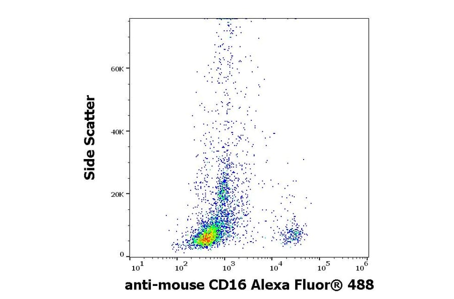 Flow Cytometry - Anti-CD8a Antibody [53-6.7] (Alexa Fluor® 488) (A121742) - Antibodies.com