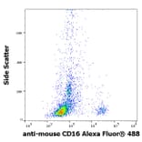 Flow Cytometry - Anti-CD8a Antibody [53-6.7] (Alexa Fluor® 488) (A121742) - Antibodies.com