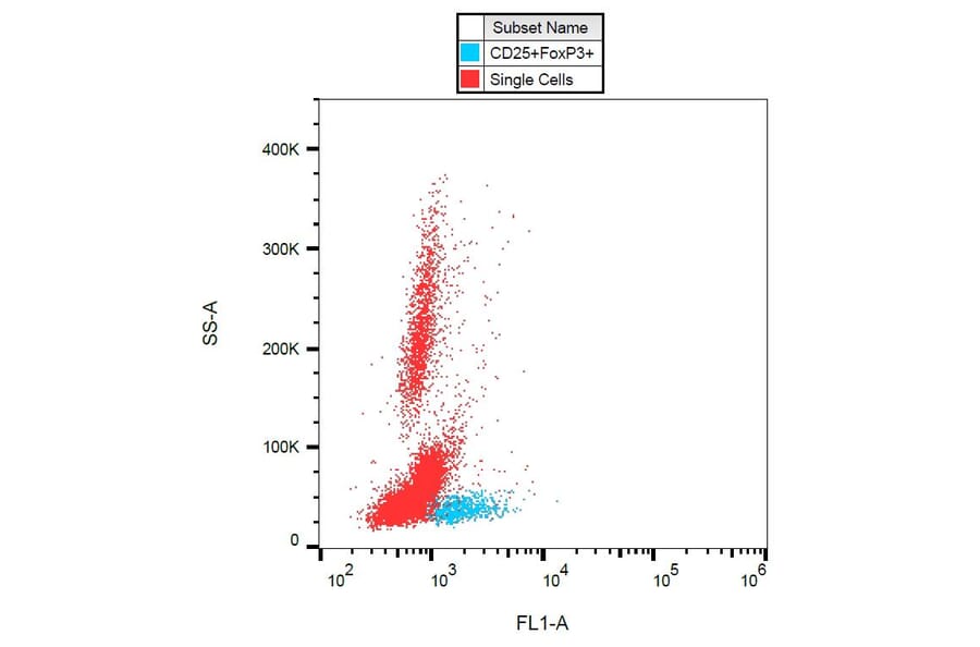 Flow Cytometry - Anti-FOXP3 Antibody [3G3] (Alexa Fluor® 488) (A18698) - Antibodies.com